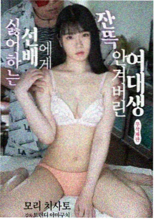 回声之城剧集封面